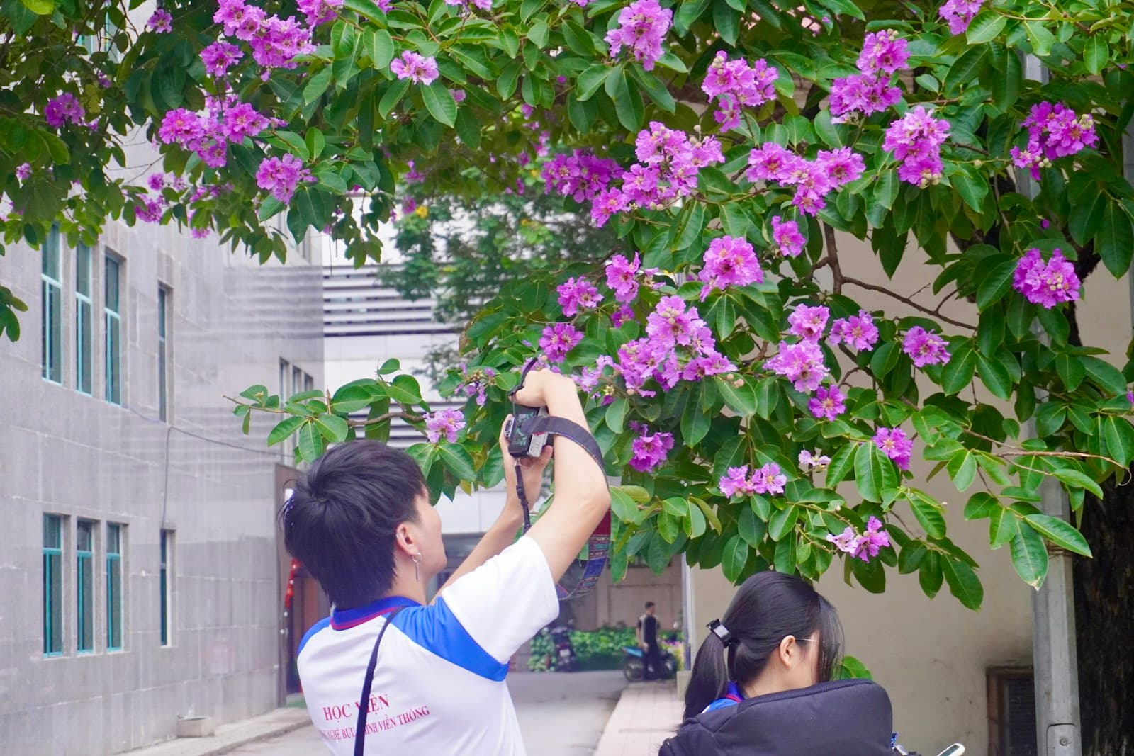 Ảnh chụp trường học sinh thái